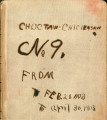Choctaw and Chickasaw Nation Letterbook #9. 1903